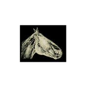 Load image into Gallery viewer, equestrian-horses-animals-Dana-Williamowsky-riding-Fethra-prints-fine-art
