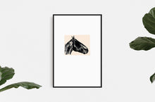 Load image into Gallery viewer, equestrian-horses-original-pastel-signed-Fethra-prints-fine-art-animals