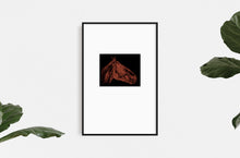 Load image into Gallery viewer, equestrian-horses-animals-Dana-Williamowsky-riding-Fethra-prints-fine-art