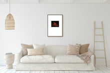 Load image into Gallery viewer, animals-horses-fine-art-equestrian-riding-Fethra-prints-Dana-Williamowsky