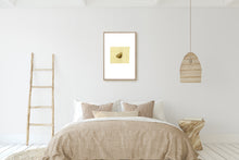 Load image into Gallery viewer, stencils-nature-fine-art-Fethra-prints-butterfly-insect-Dana-Williamowsky