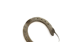 Load image into Gallery viewer, Dana-Williamowsky-original-Fethra-prints-bronze-horseshoes-signed-sculpture-equestrian