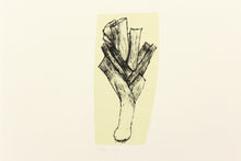 Load image into Gallery viewer, vegetable-signed-Dana-Williamowsky-harvest-kitchen-garden-original-Fethra-prints