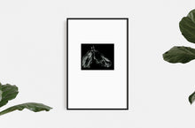 Load image into Gallery viewer, equestrian-horses-animals-Dana-Williamowsky-riding-Fethra-prints-fine-art