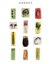 Load image into Gallery viewer, harvest-garden-kitchen-vegetable-Fethra-prints-drawing-Leslie-Enders-Lee