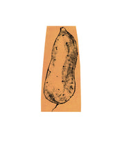 Load image into Gallery viewer, Dana-Williamowsky-vegetable-potato-Fethra-prints-harvest-garden-drawing-kitchen