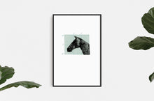 Load image into Gallery viewer, fine-art-horses-Leslie-Enders-Lee-Fethra-prints-latitudes-equestrian