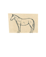 Load image into Gallery viewer, equestrian-horse-fine-art-Leslie-Enders-Lee-stamped-Fethra-prints