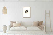 Load image into Gallery viewer, nature-Fethra-prints-Dana-Williamowsky-shell-pastel-fine-art-original