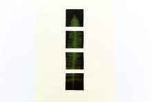 Load image into Gallery viewer, original-signed-fine-art-leaves-trees-albers-nature-Fethra-prints