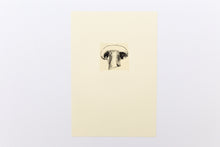 Load image into Gallery viewer, drawing-harvest-mushroom-Fethra-prints-signed-original-garden-vegetable-kitchen