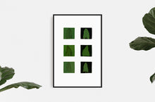 Load image into Gallery viewer, fine-art-Dana-Williamowsky-Fethra-prints-trees-albers-leaves-nature