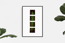 Load image into Gallery viewer, fine-art-Dana-Williamowsky-Fethra-prints-trees-albers-leaves-nature