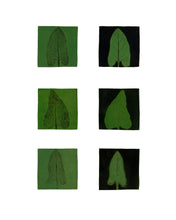 Load image into Gallery viewer, Fethra-prints-Dana-Williamowsky-fine-art-Albers-nature-leaves-trees