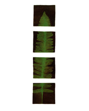 Load image into Gallery viewer, Dana-Williamowsky-Albers-fine-art-nature-trees-leaves-Fethra-prints