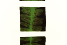 Load image into Gallery viewer, trees-albers-original-signed-leaves-Fethra-prints-nature-fine-art