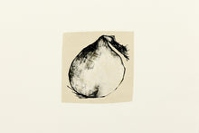 Load image into Gallery viewer, harvest-onion-drawing-Dana-Williamowsky-Fethra-prints-kitchen-original-vegetable