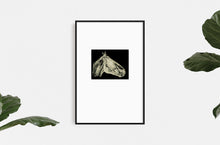 Load image into Gallery viewer, Dana-Williamowsky-equestrian-horses-fine-art-riding-Fethra-prints-animals
