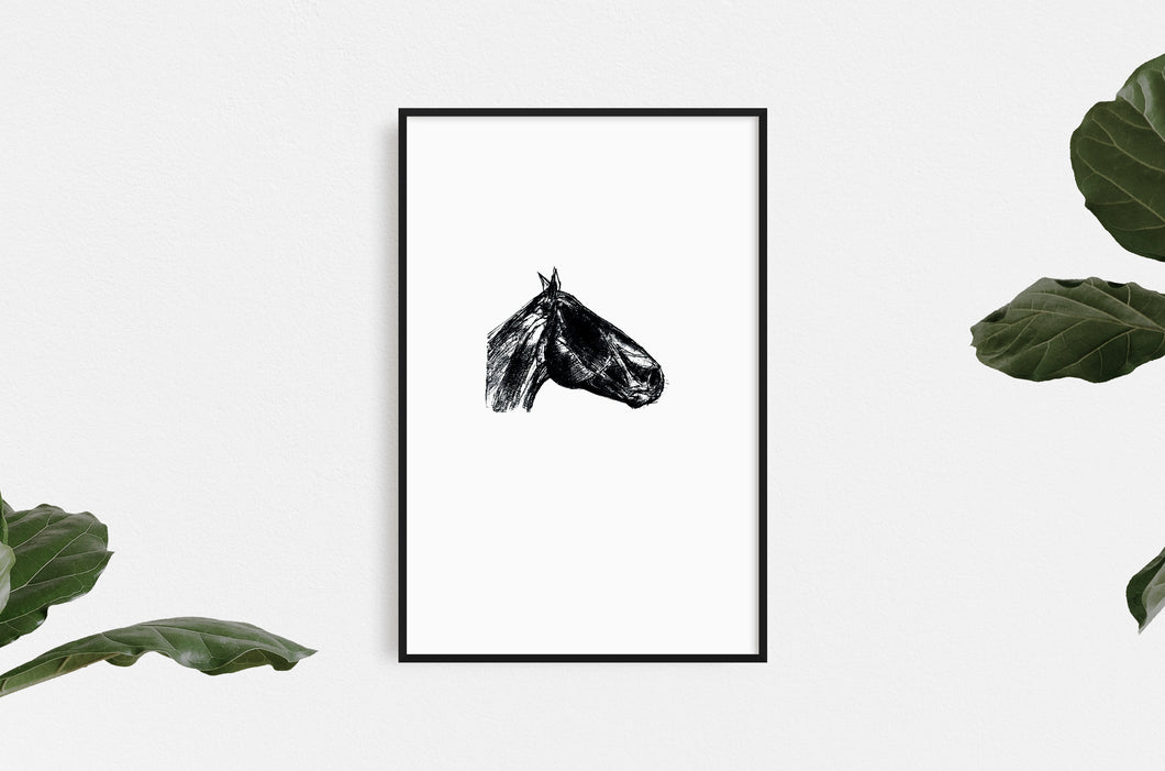 equestrian-horses-animals-Dana-Williamowsky-riding-Fethra-prints-fine-art