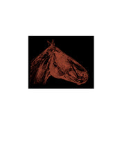 Load image into Gallery viewer, horses-riding-animals-equestrian-Dana-Williamowsky-fine-art-Fethra-prints
