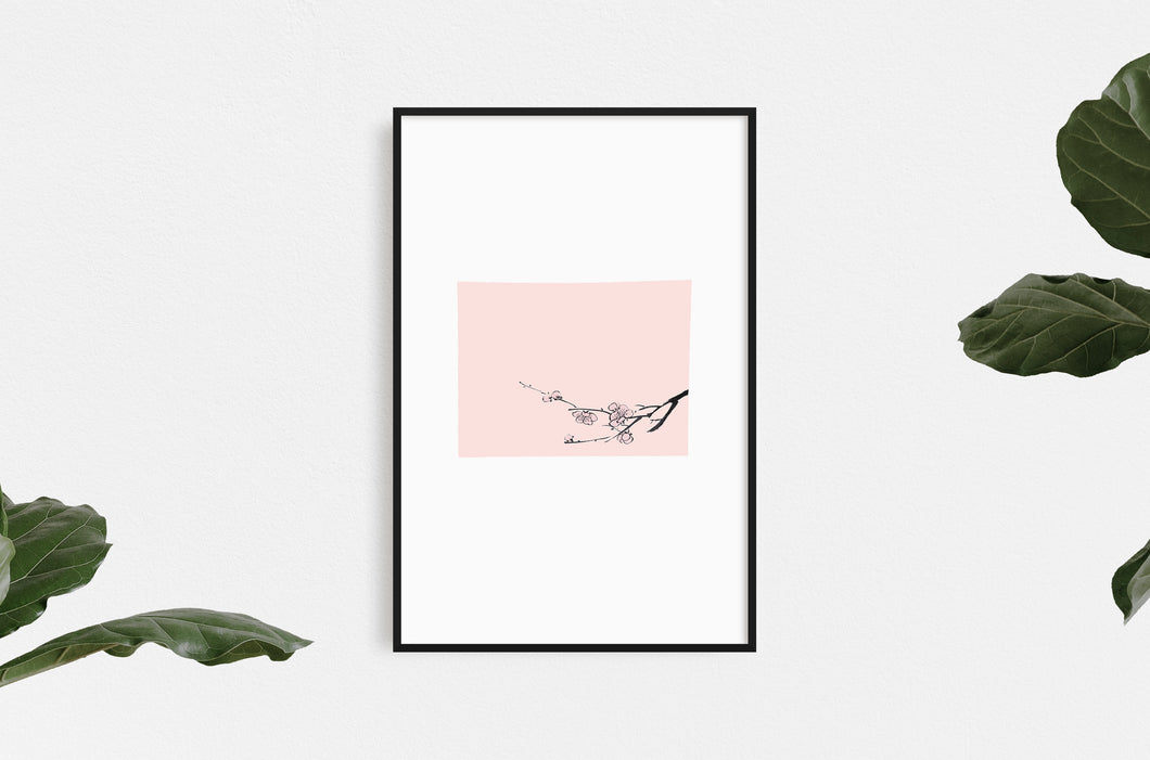 fine-art-flowers-simplistic-Fethra-prints-blossom-minimalistic-nature-tree