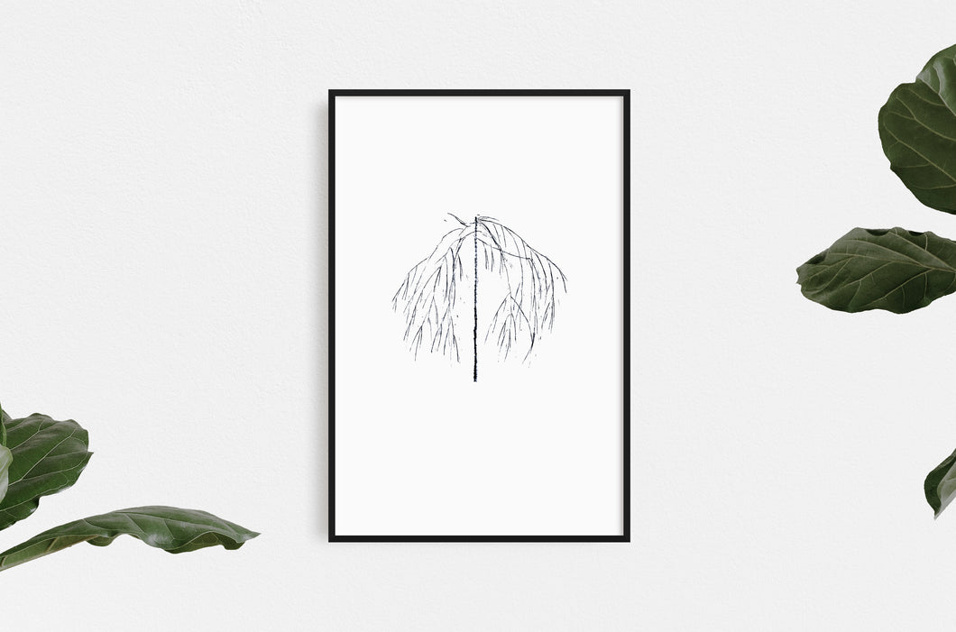 fine-art-simplistic-Fethra-prints-minimalistic-nature-tree-Dana-Williamowsky