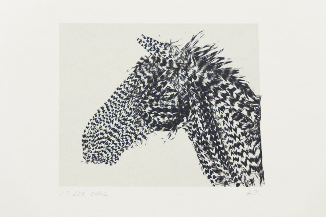 fine-art-original-horses-feathers-equestrian-Fethra-prints-signed-minimalistic