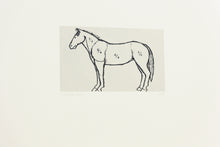 Load image into Gallery viewer, fine-art-horse-original-Fethra-prints-stamped-equestrian-minimalistic-signed
