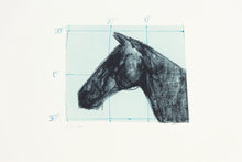 Load image into Gallery viewer, fine-art-horses-original-latitudes-Fethra-prints-equestrian-signed
