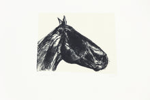 Load image into Gallery viewer, equestrian-horses-original-Dana-Williamowsky-riding-Fethra-prints-fine-art
