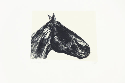 equestrian-horses-original-Dana-Williamowsky-riding-Fethra-prints-fine-art