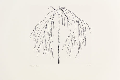 fine-art-simplistic-Fethra-prints-nature-tree-original-signed-stamped