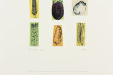 Load image into Gallery viewer, harvest-original-Dana-Williamowsky-Fethra-prints-signed-vegetable-drawing-kitchen
