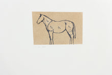 Load image into Gallery viewer, fine-art-horse-original-Fethra-prints-stamped-equestrian-pastel-signed
