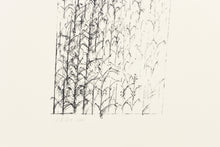 Load image into Gallery viewer, ink-fine-art-signed-original-Fethra-prints-minimalistic-cornstalk-stamped
