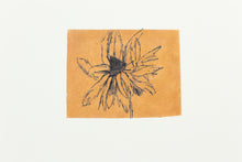 Load image into Gallery viewer, flower-nature-fine-art-original-drawing-Fethra-prints-pastel
