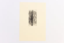 Load image into Gallery viewer, Fethra-prints-signed-tree-nature-willow-stamped-original-fine-art
