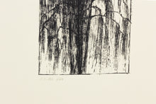 Load image into Gallery viewer, nature-tree-fine-art-original-willow-stamped-signed-Fethra-prints
