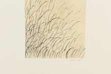 Load image into Gallery viewer, Fethra-prints-original-pastel-fine-art-ink-grass-signed-nature
