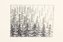 Load image into Gallery viewer, signed-fine-art-forest-Fethra-prints-original-trees-stamped-ink
