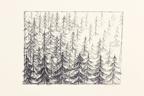 signed-fine-art-forest-Fethra-prints-original-trees-stamped-ink