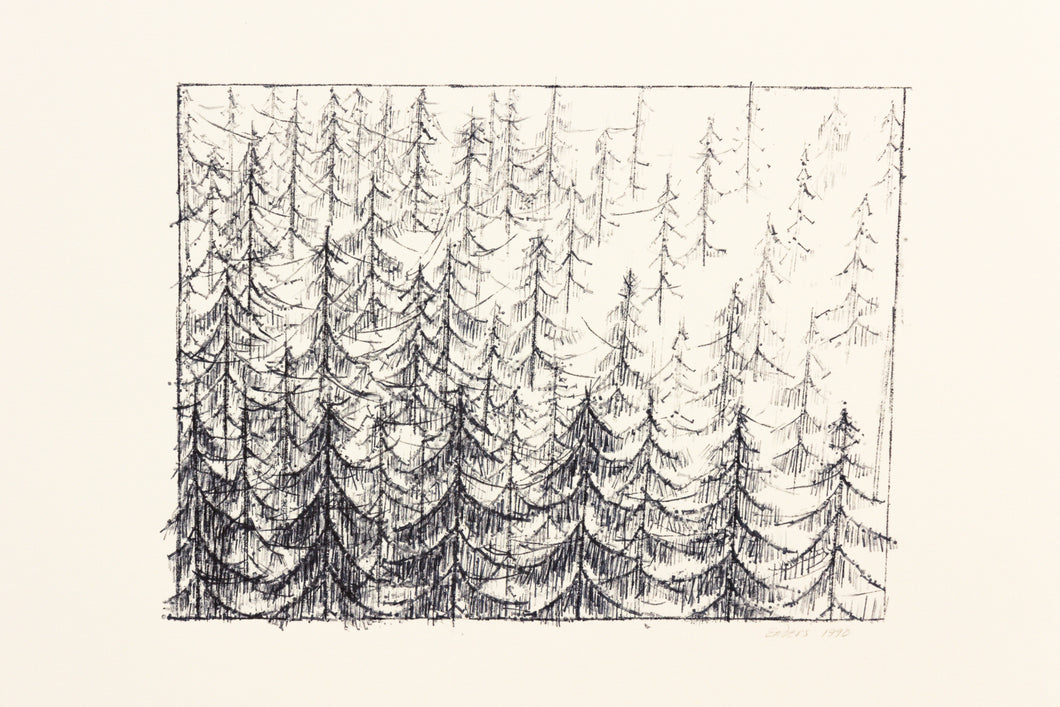 signed-fine-art-forest-Fethra-prints-original-trees-stamped-ink