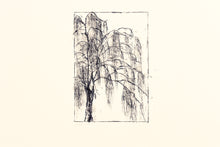 Load image into Gallery viewer, original-signed-willow-tree-Fethra-prints-nature-stamped-fine-art
