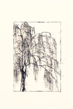 Load image into Gallery viewer, fine-art-original-signed-Fethra-prints-nature-tree-willow-stamped
