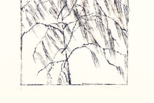 Load image into Gallery viewer, Fethra-prints-original-fine-art-signed-willow-stamped-nature-tree
