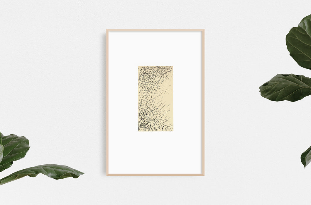 grass-nature-fine-art-Dana-Williamowsky-stamps-minimalistic-Fethra-prints