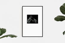 Load image into Gallery viewer, equestrian-horses-animals-Dana-Williamowsky-riding-Fethra-prints-fine-art
