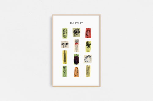 Leslie-Enders-Lee-Fethra-prints-vegetable-kitchen-drawing-harvest-garden