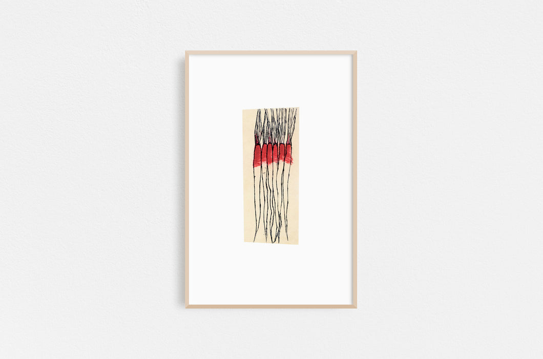 Dana-Williamowsky-Fethra-prints-vegetable-kitchen-drawing-harvest-carrots-minimalistic