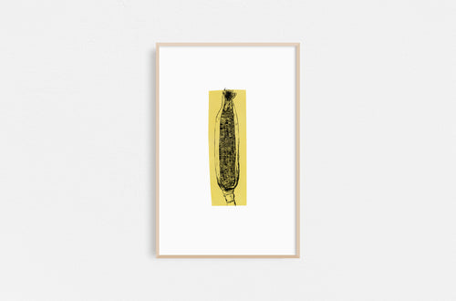 Dana-Williamowsky-Fethra-prints-vegetable-kitchen-drawing-harvest-corn-minimalistic